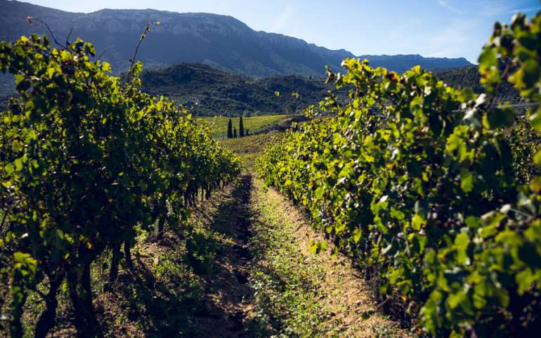 L’enoturismo riuscirà a far volare la Sardegna?