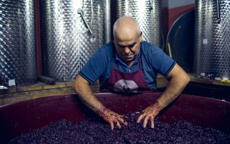 Vino: 54 milioni gli ettolitri nelle cantine italiane a metà aprile