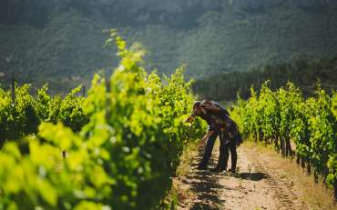 Turismo del vino, il rilancio parte anche dalla valle di Oddoene