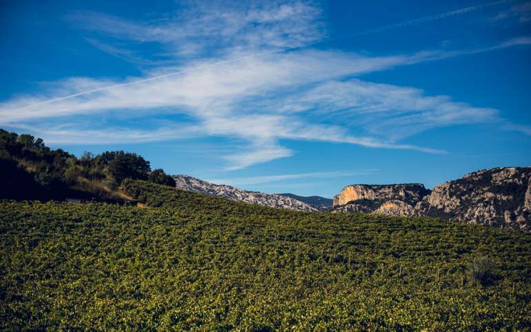 Vino: nasce il toponimo “Vigna di Oddoene”